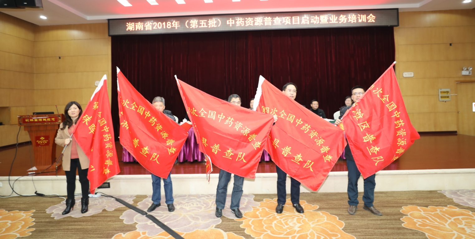 全国中草药批发哪里最大